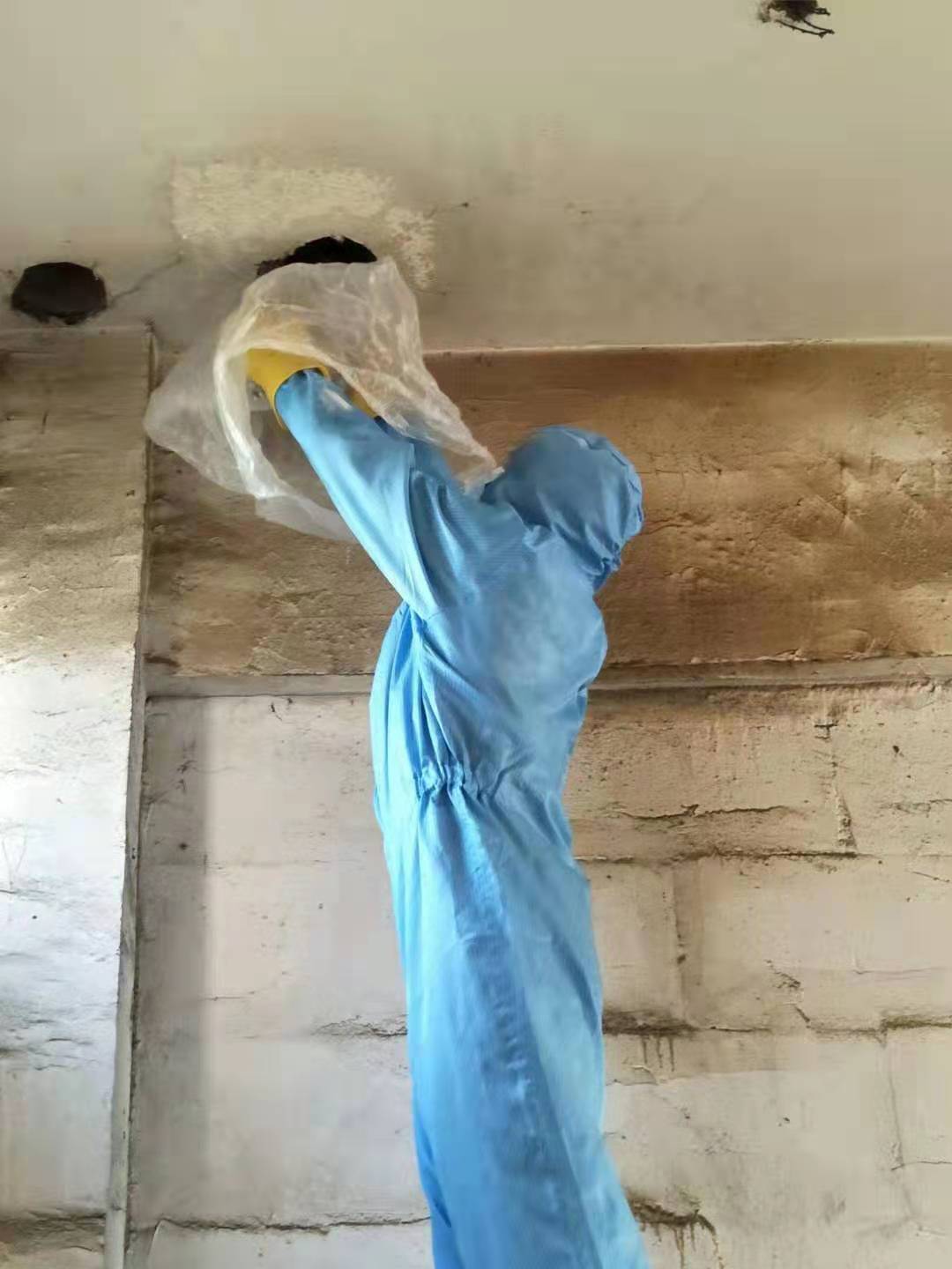 广元除虫